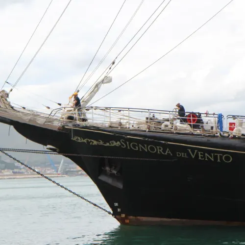 Signora