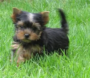 Collaborative synergy fostered