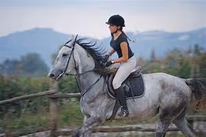 Cherry blossom festivals