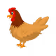 etfdf