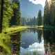MemeMogul
