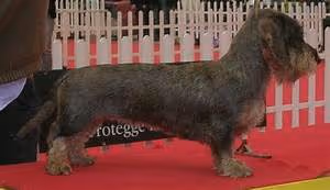 Inner peace practices