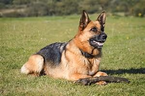 Pyramids and temples exploration