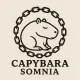 somnia capy