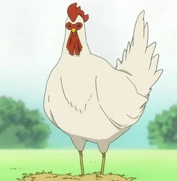 chicken mdrchod