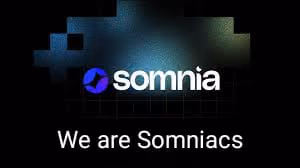 somi capybara