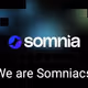 somi capybara