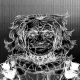 1602
