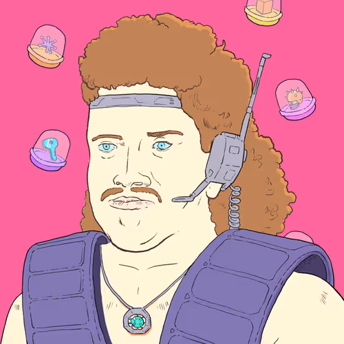 Mullet Cop #419