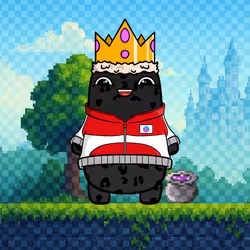 Somzy #599