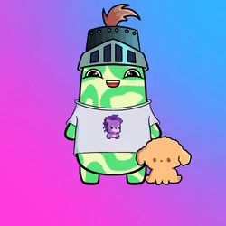 Somzy #228