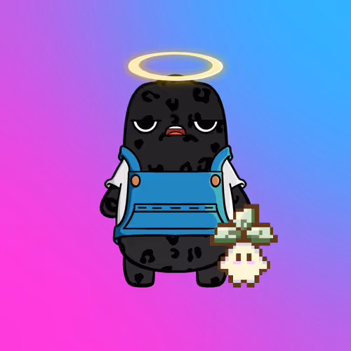 Somzy #3492