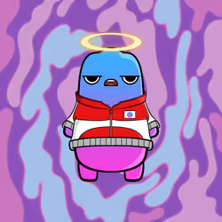 Somzy #617