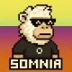 Somnia Syndicate #38