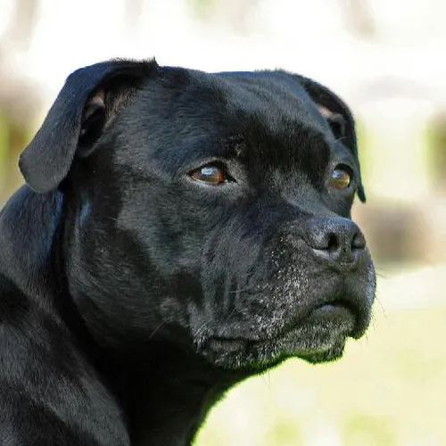 Greek mythology gods