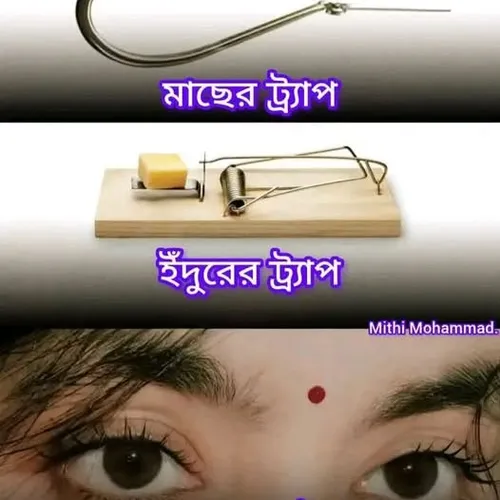 niru859