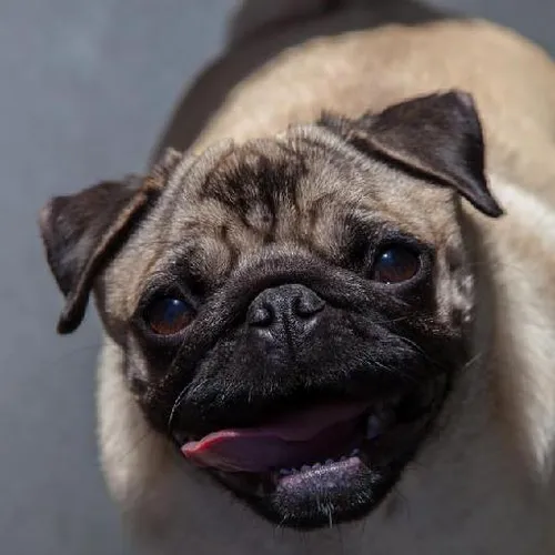 Castle accommodations abroad