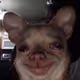 444444