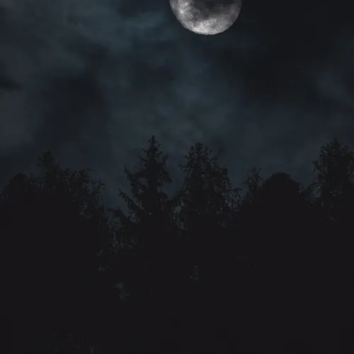 Dark Night
