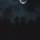 Dark Night