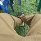 Somnia chicken