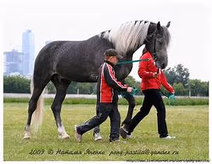 Skydiving thrill seekers