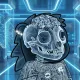 XRay