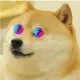 DOGE