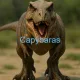 Capybaras