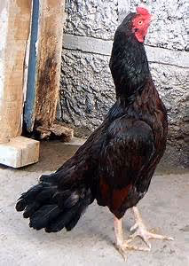 Photography masterclasses