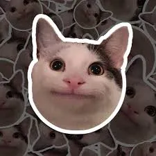 Ting 