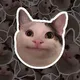 Ting 
