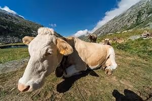 Underwater hotel experiences