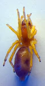 Space exploration frontiers