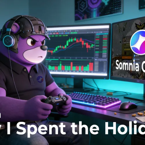 How I Spent the Holidays SOMNIA