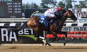 Vertical ascent adventures