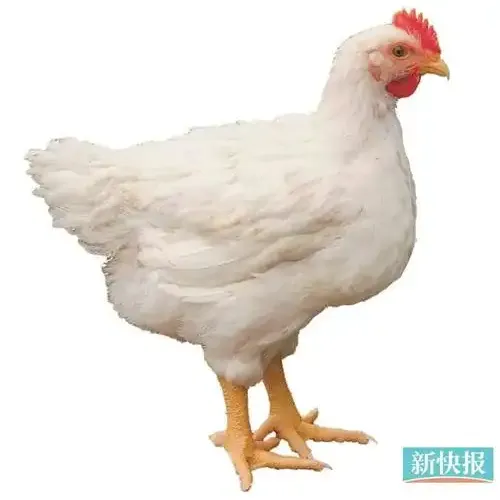 JHYRTDHSRT