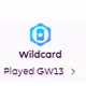 wildcard