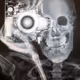 Photoskeleton