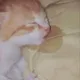 meowxd