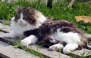 New beginnings embraced