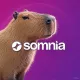 soma
