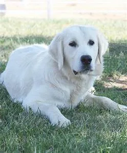 Sustainable solutions quest