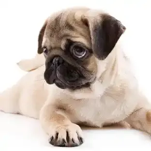 bhjhjbhbj