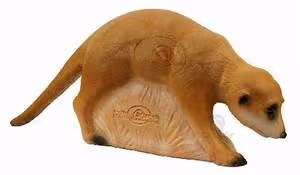 Future technology advancements