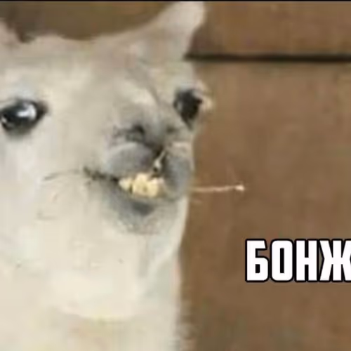 ghghgghh
