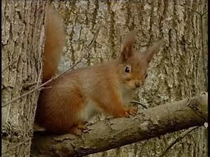 Lost empires unraveling