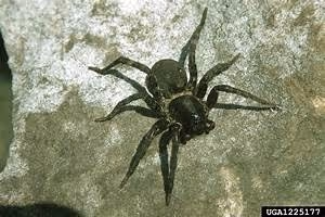 Cycling through landscapes