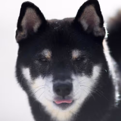 Volunteer travel experiences