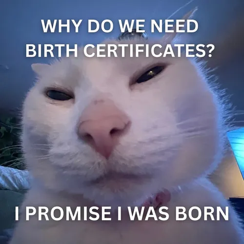 wtf